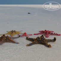 фото из отзыва ID 2026008