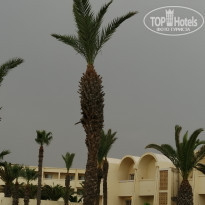 фото из отзыва ID 2026020