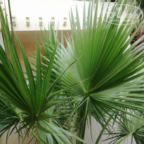 фото из отзыва ID 2026020