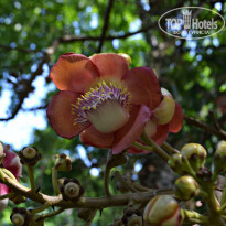 фото из отзыва ID 2024031