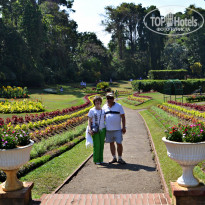 фото из отзыва ID 2024031