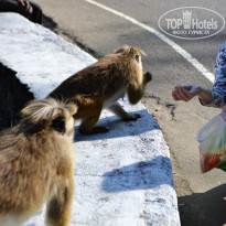 фото из отзыва ID 2024031