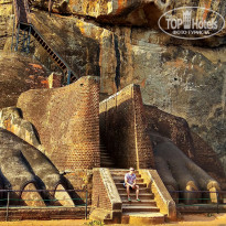 фото из отзыва ID 2024031