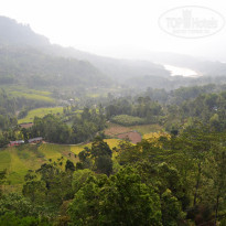 фото из отзыва ID 2024031