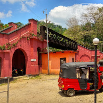 фото из отзыва ID 2024031