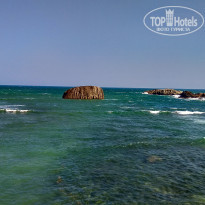 фото из отзыва ID 2024031