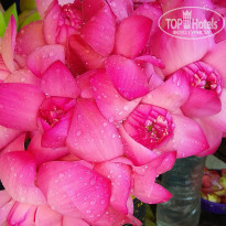 фото из отзыва ID 2024031