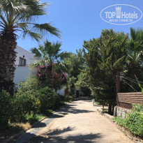 фото из отзыва ID 2026441