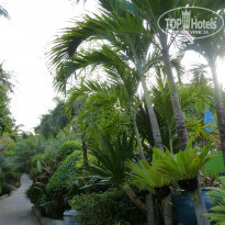 фото из отзыва ID 2024452