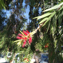 фото из отзыва ID 2026504