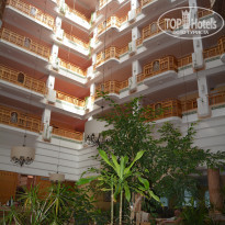 фото из отзыва ID 2026603