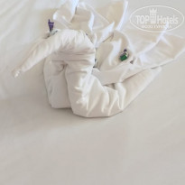 фото из отзыва ID 2026603