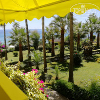 фото из отзыва ID 2026606