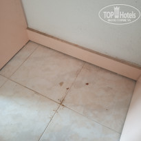 фото из отзыва ID 2022324