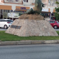 фото из отзыва ID 2026317