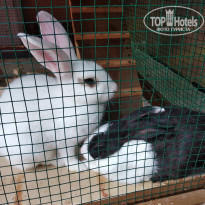 фото из отзыва ID 2026317