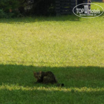 фото из отзыва ID 2026317