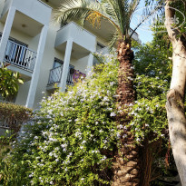 фото из отзыва ID 2026317