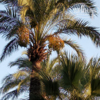 фото из отзыва ID 2026317