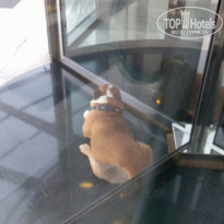 фото из отзыва ID 2026910