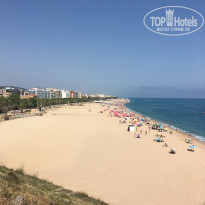 фото из отзыва ID 2027272