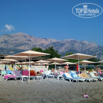 фото из отзыва ID 2027313