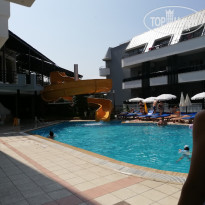 фото из отзыва ID 2027526