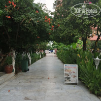 фото из отзыва ID 2027535