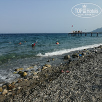 фото из отзыва ID 2027535