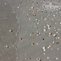 фото из отзыва ID 2027520