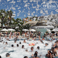 фото из отзыва ID 2027599