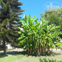 фото из отзыва ID 2027599