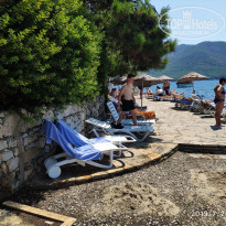 фото из отзыва ID 2027628