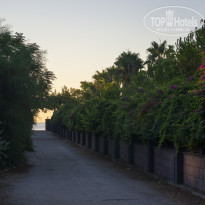 фото из отзыва ID 2027582