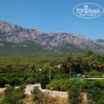 фото из отзыва ID 2027313