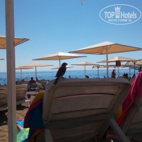 фото из отзыва ID 2027313