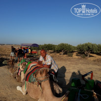 фото из отзыва ID 2027682