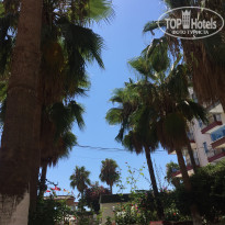 фото из отзыва ID 2027783