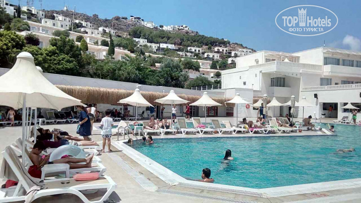 Club Sardunya