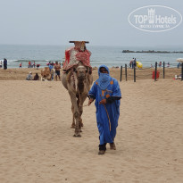 фото из отзыва ID 2028031