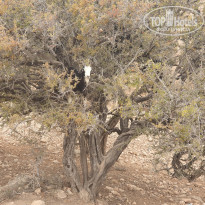 фото из отзыва ID 2028031