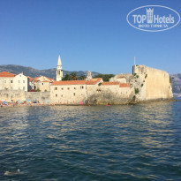 фото из отзыва ID 2028071