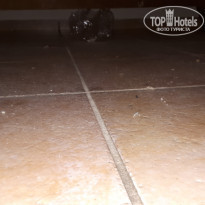 фото из отзыва ID 2028074