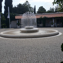 фото из отзыва ID 2027650