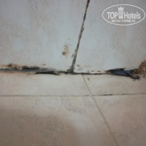 фото из отзыва ID 2028089