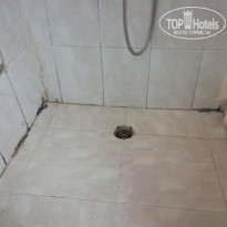 фото из отзыва ID 2028089