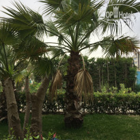 фото из отзыва ID 2028093