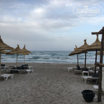 фото из отзыва ID 2028093