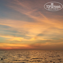 фото из отзыва ID 2028223