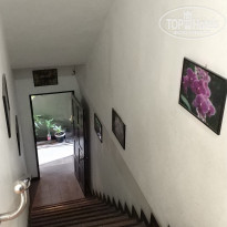 фото из отзыва ID 2028223